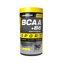 پودر بی سی ای ای+ب6 (BCAA+B6) ژن استار (Genestar) 420 گرمی